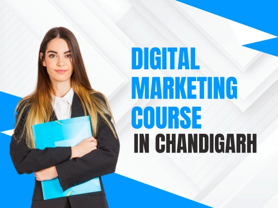 Digital Marketing Course in Chandigarh